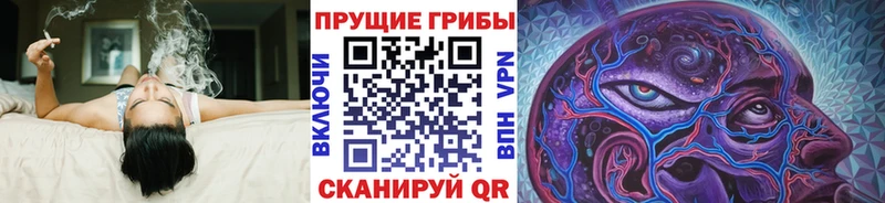 Галлюциногенные грибы Magic Shrooms  kraken   Шенкурск  закладка 